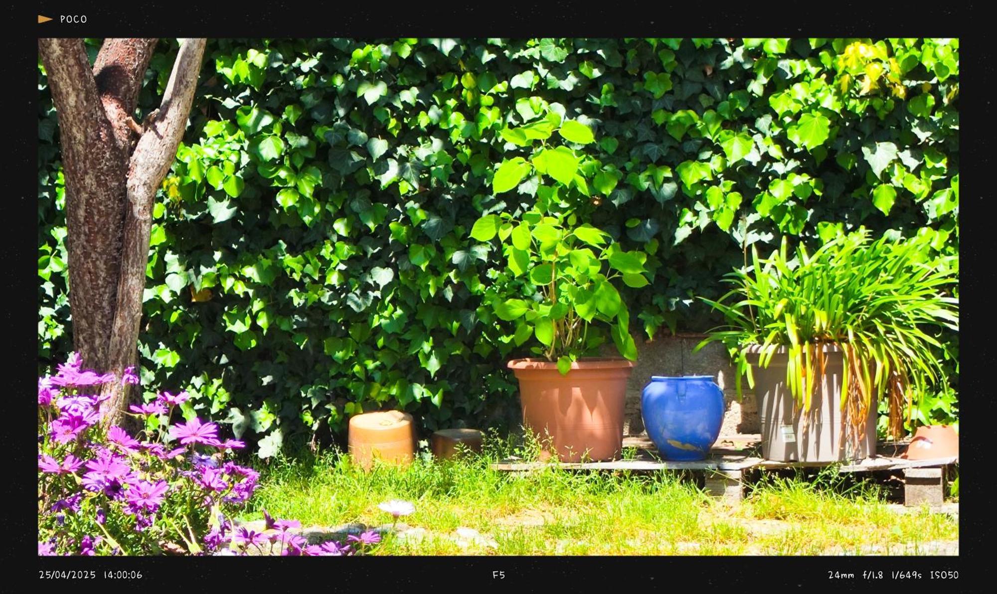 Homestay Agnes Limoux